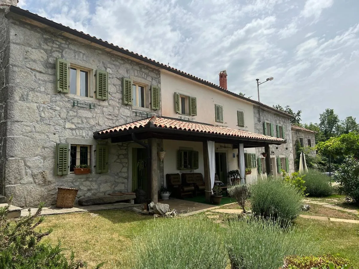 Villa Mavrici, Neighbors Free Buzet