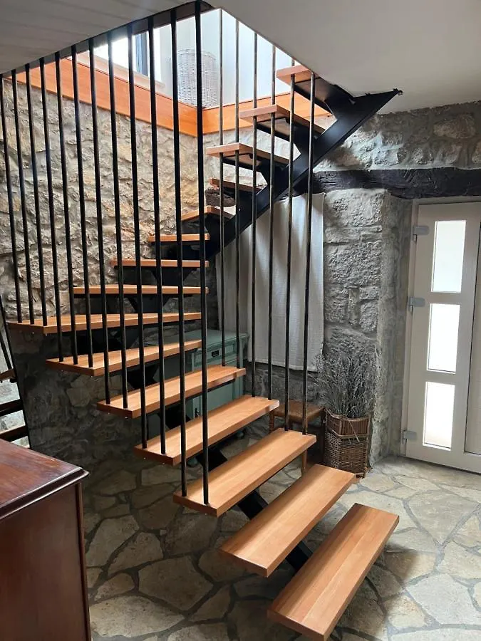 Villa Mavrici, Neighbors Free Buzet